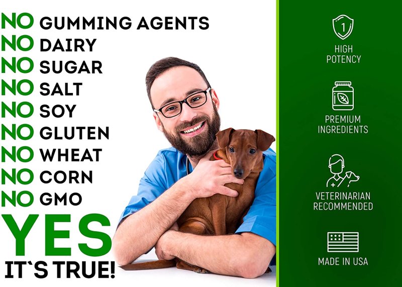 BUDDY&MAX PROBIOTICS FOR DOGS