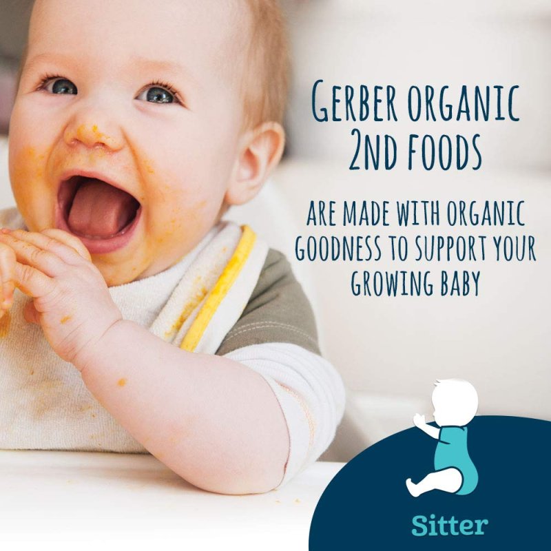 GERBER ORGANIC 2ND FOODS, FRUIT & VEGGIE VARIETY PACK - 18'LI PAKET