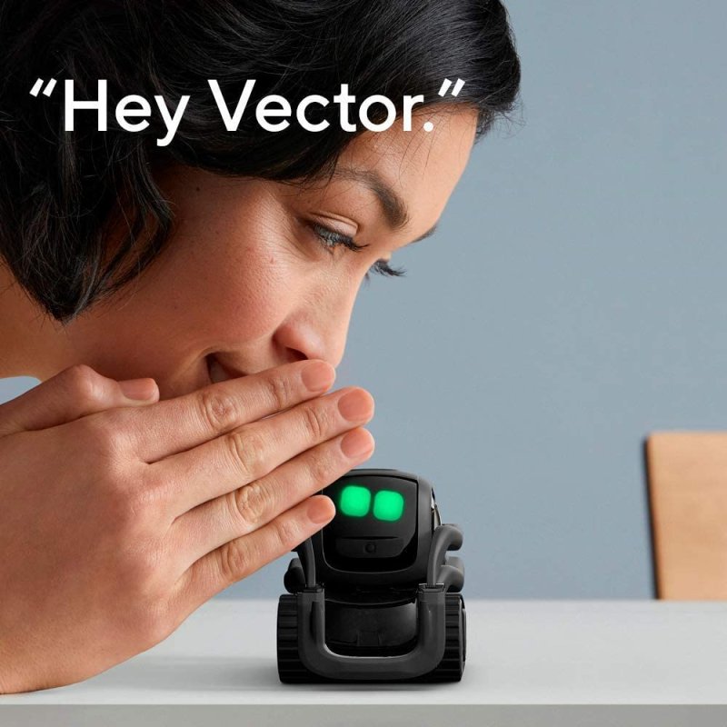 VECTOR ROBOT BY ANKI