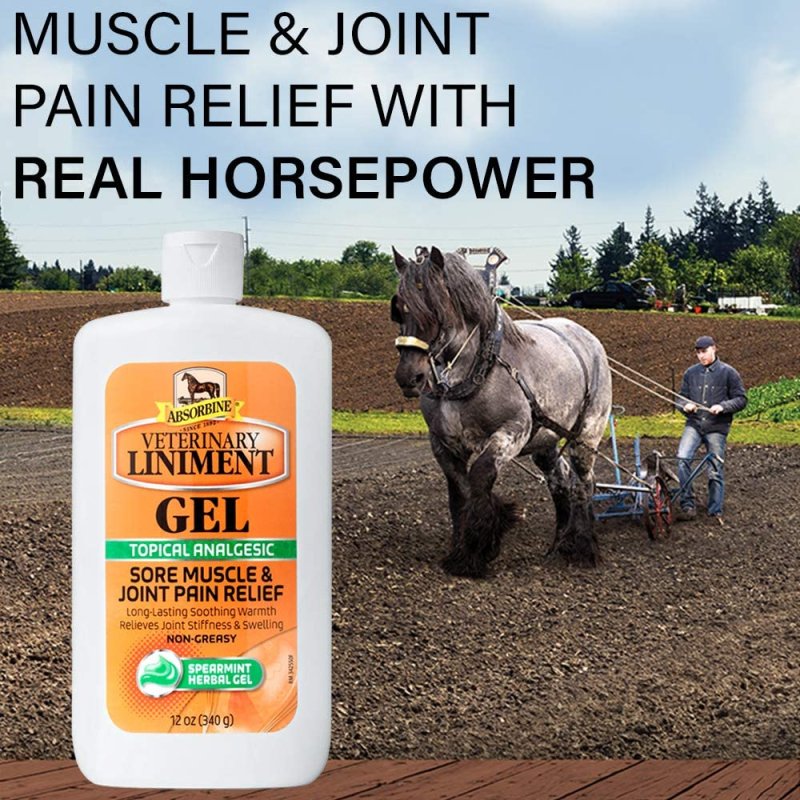 ABSORBINE VETERINARY LINIMENT - 12 OUNCE