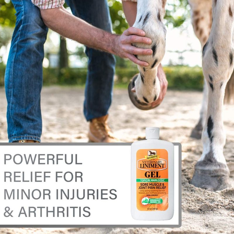 ABSORBINE VETERINARY LINIMENT - 12 OUNCE