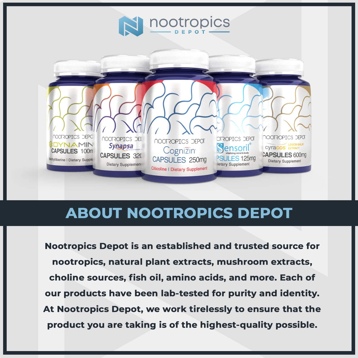 NOOTROPICS DEPOT 7,8-DIHYDROXYFLAVONE CAPSULES 25MG - 60 TABLET