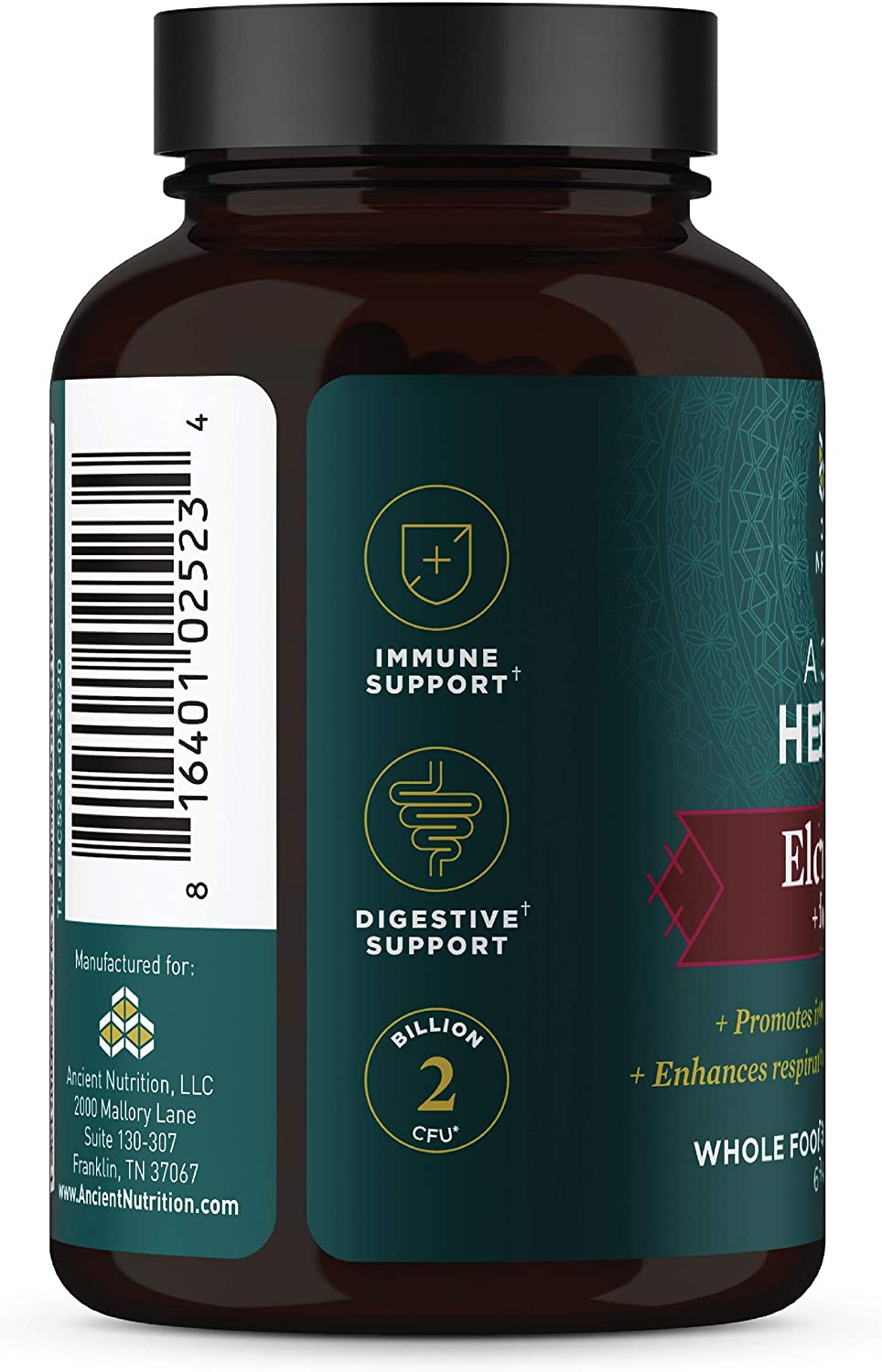 ANCIENT NUTRITION ANCIENT HERBALS BLACK ELDERBERRY CAPSULES - 60 TABLET
