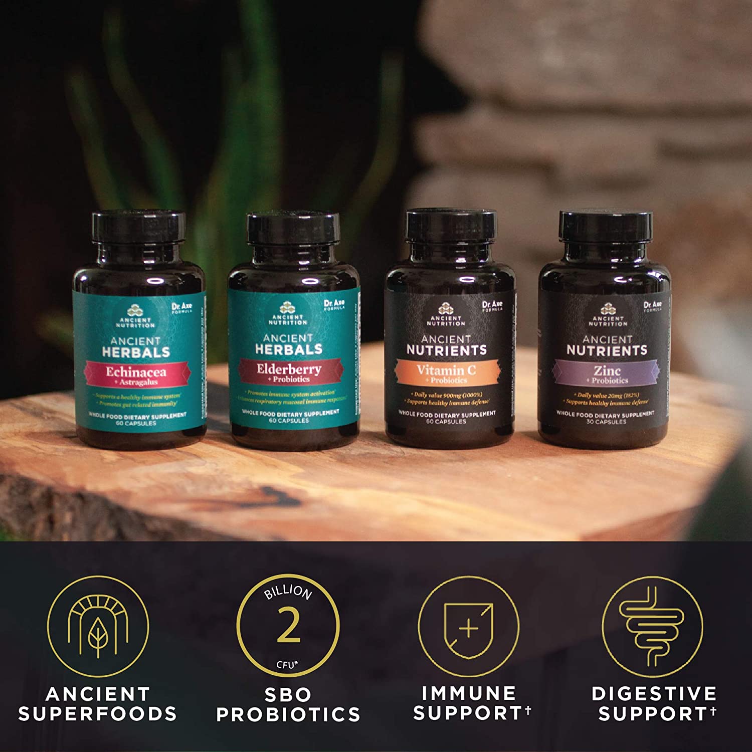 ANCIENT NUTRITION ANCIENT HERBALS BLACK ELDERBERRY CAPSULES - 60 TABLET
