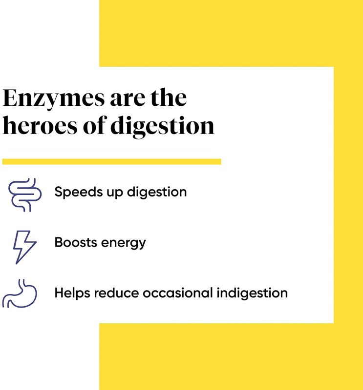 ENZYMEDICA DIGEST SPECTRUM - 120 TABLET