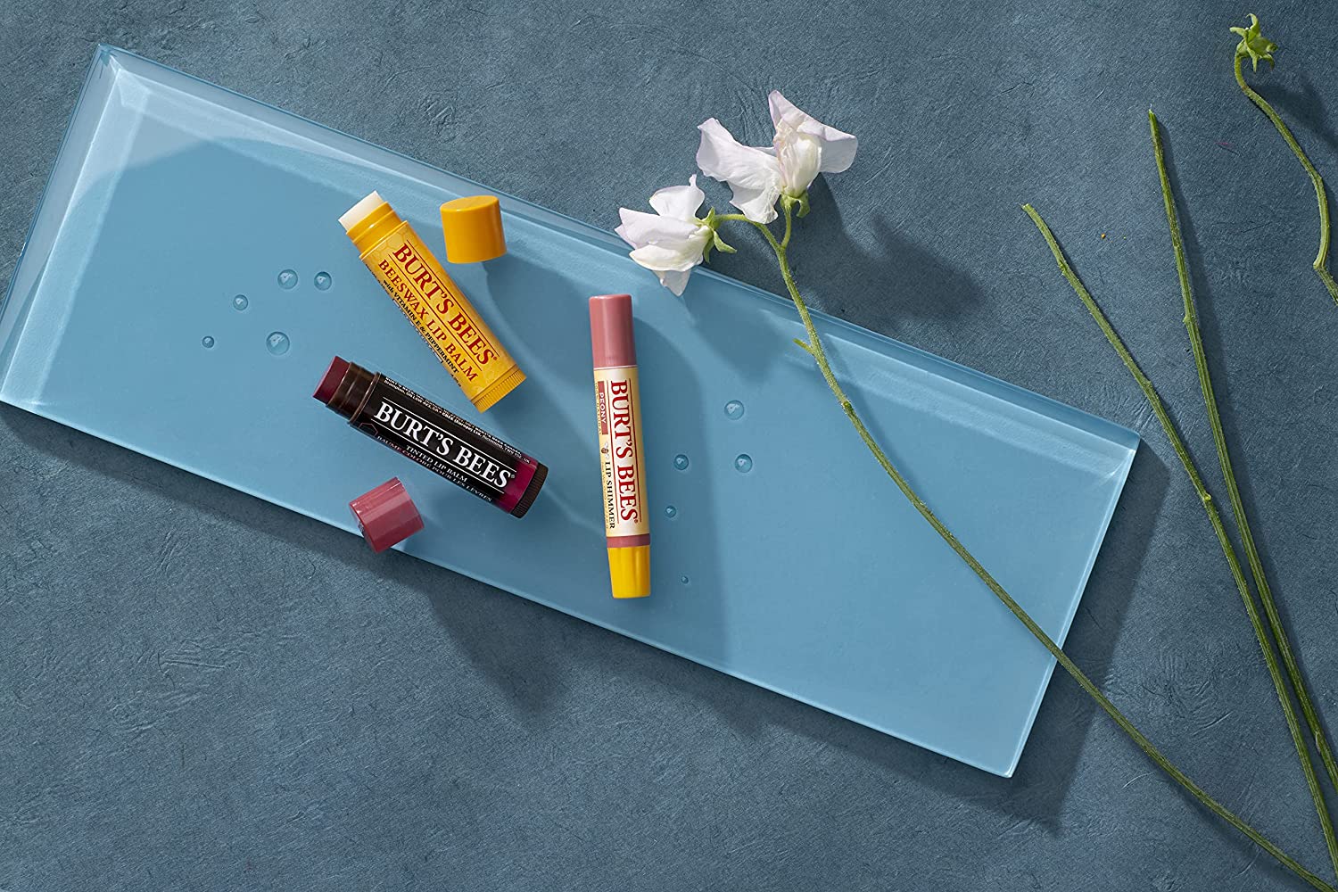 BURTS BEES LIP BALM WITH VITAMIN E & PEPPERMINT OIL PACK - 4 PACKS