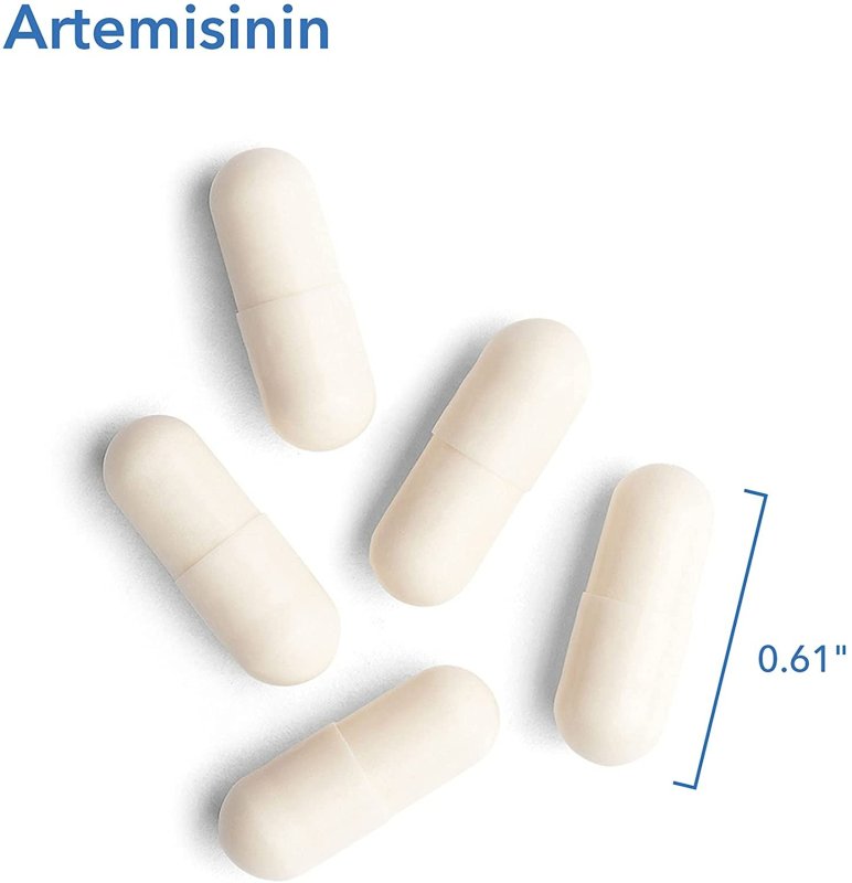 ALLERGY RESEARCH GROUP ARTEMISININ - 90 TABLET