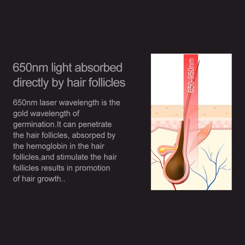 LESCOLTON HAIR GROWTH SYSTEM