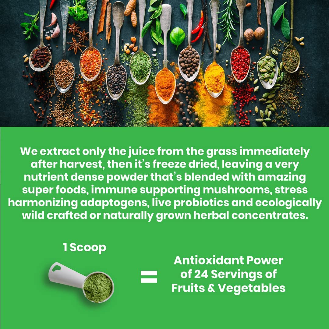 PARADISE HERBS ORAC ENERGY GREENS - 60 SERVINGS