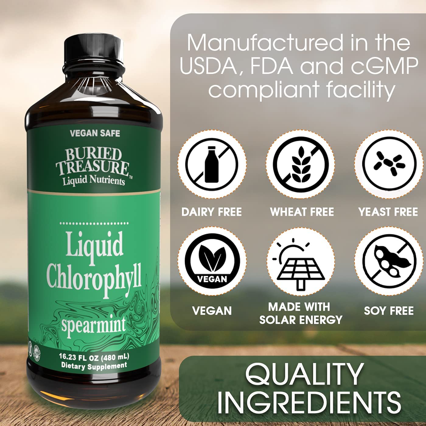 BURIED TREASURE LIQUID CHLOROPHYLL - 480 ML