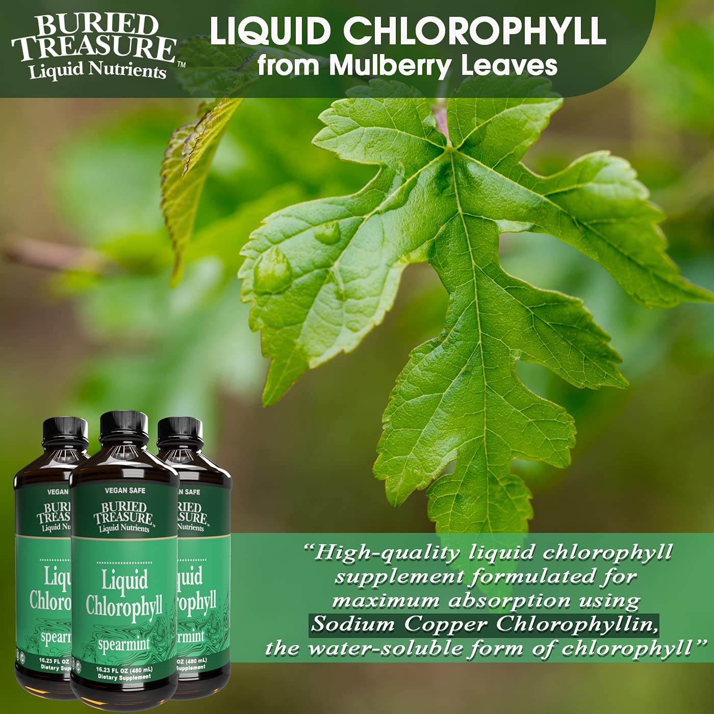 BURIED TREASURE LIQUID CHLOROPHYLL - 480 ML