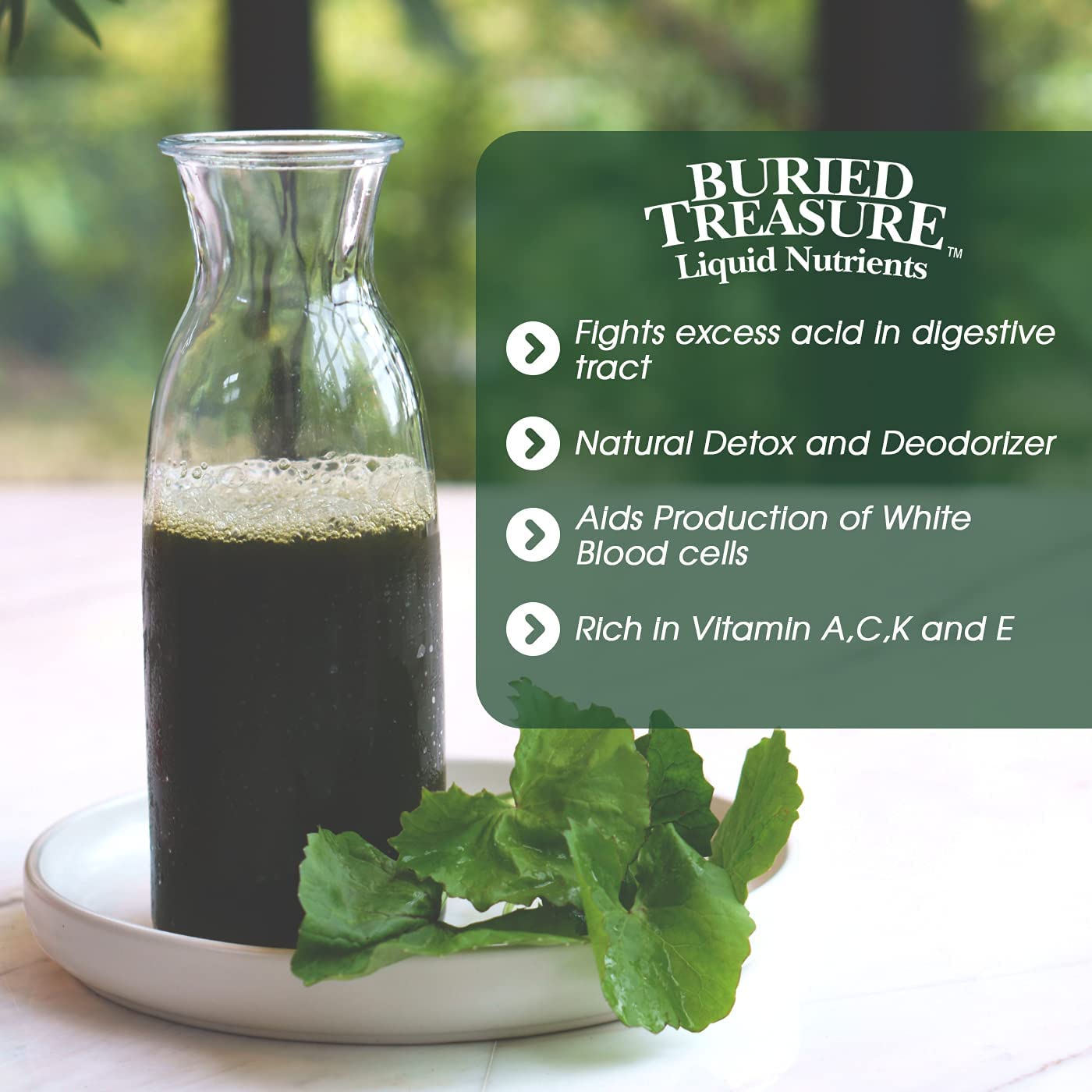 BURIED TREASURE LIQUID CHLOROPHYLL - 480 ML