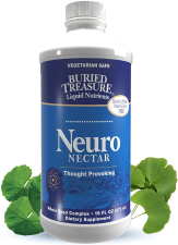 BURIED TREASURE NEURO NECTAR - 473 ML