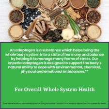 PARADISE HERBS ADAPTOGEN - 60 TABLET