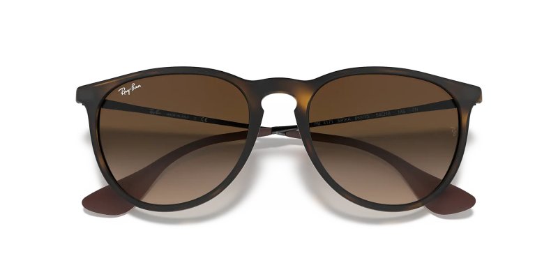 RAY-BAN RB4171 ERIKA ROUND SUNGLASSES