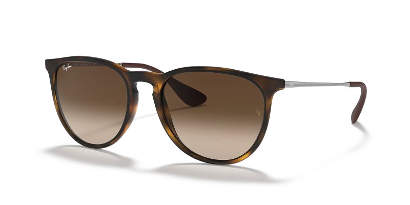 RAY-BAN RB4171 ERIKA ROUND SUNGLASSES