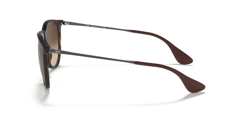 RAY-BAN RB4171 ERIKA ROUND SUNGLASSES