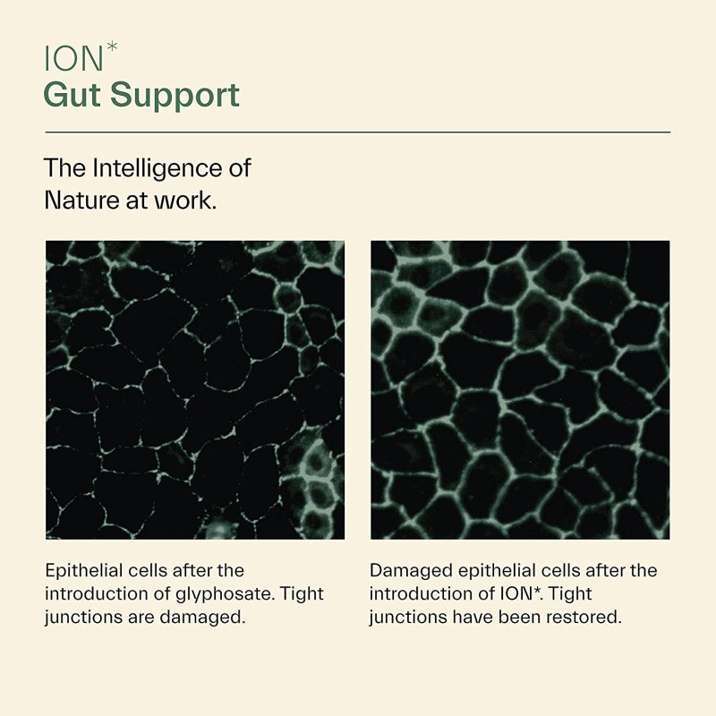 ION INTELLIGENCE OF NATURE GUT SUPPORT - 946 ML