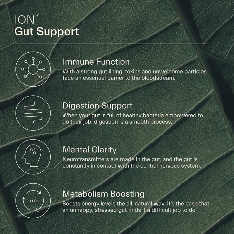 ION INTELLIGENCE OF NATURE GUT SUPPORT - 473 ML