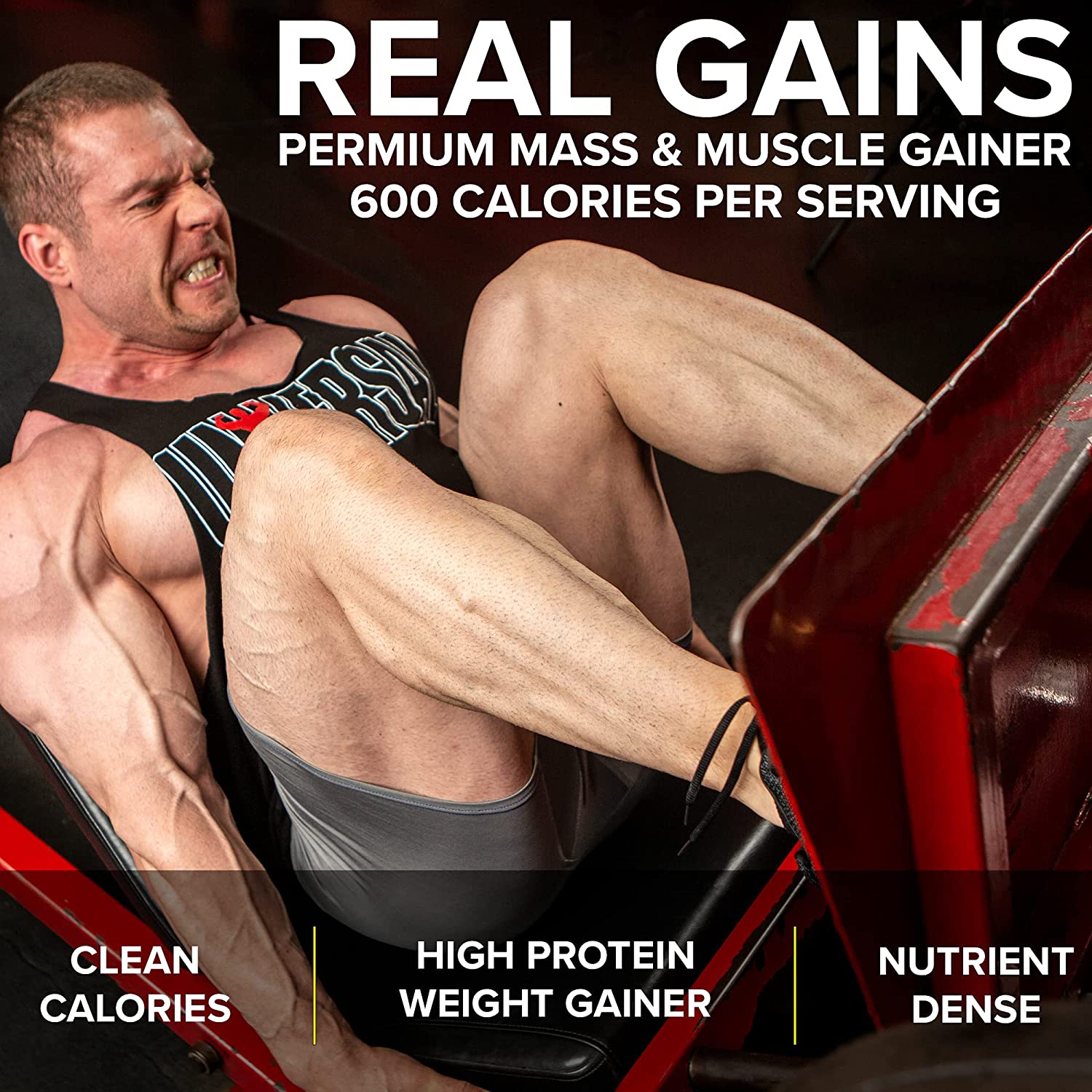 UNIVERSAL NUTRITION REAL GAINS WEIGHT GAINER - 10.6 POUND