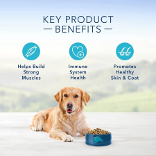 BLUE BUFFALO LIFE PROTECTION FORMULA - 13.6 KG
