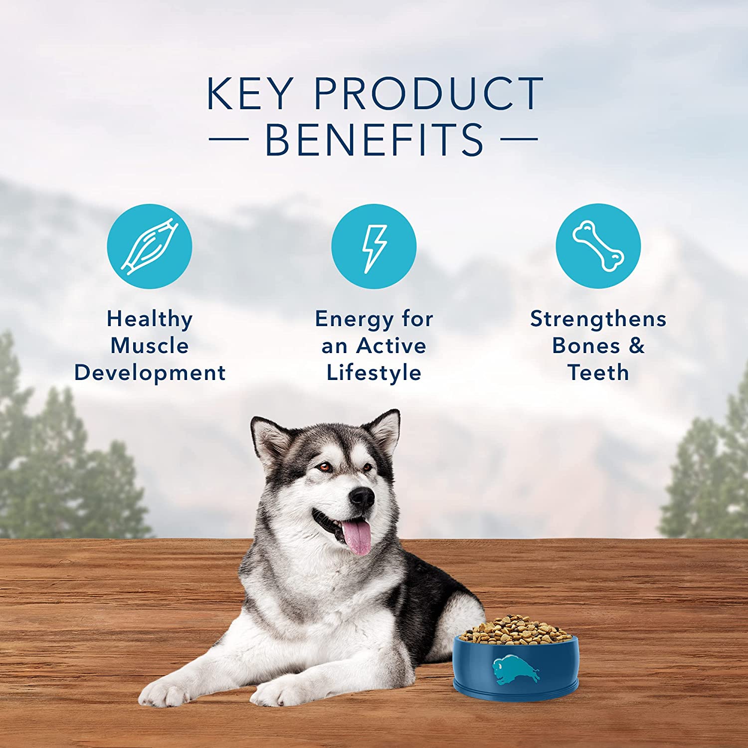 BLUE BUFFALO WILDERNESS DOG FOOD - 10.8 KG