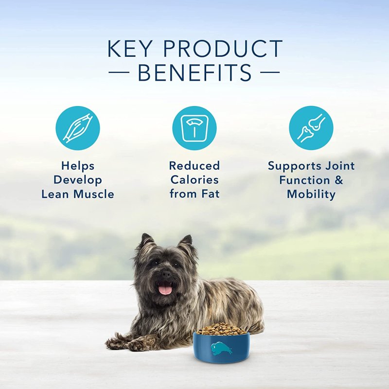 BLUE BUFFALO LIFE PROTECTION FORMULA - 6.8 KG