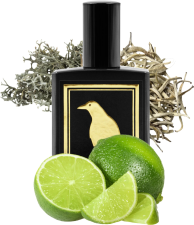 TOBI TOBIN WHITE TEA SOKU LIME OAK MOSS - 3.3 OZ