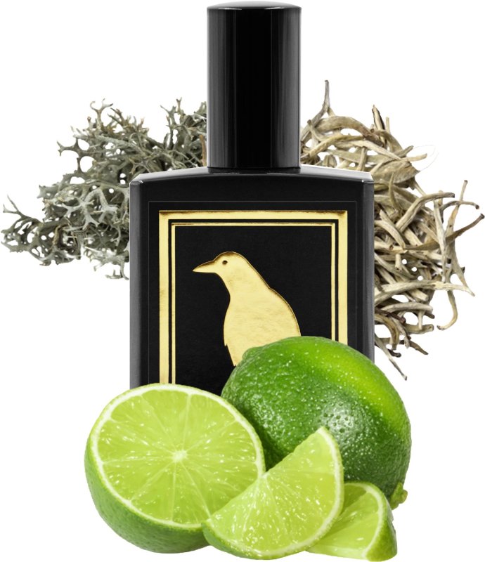 TOBI TOBIN WHITE TEA SOKU LIME OAK MOSS - 3.3 OZ