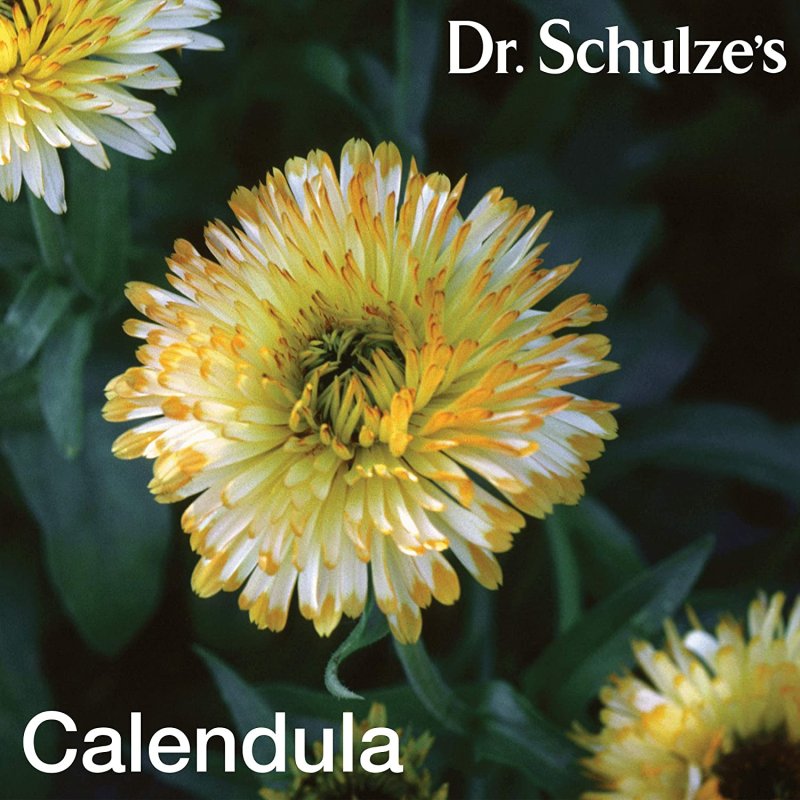 DR. SCHULZE'S DEEP TISSUE OIL - 19 ML