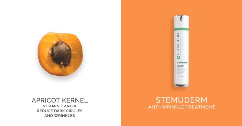 SOLVADERM STEMUDERM - 50 ML