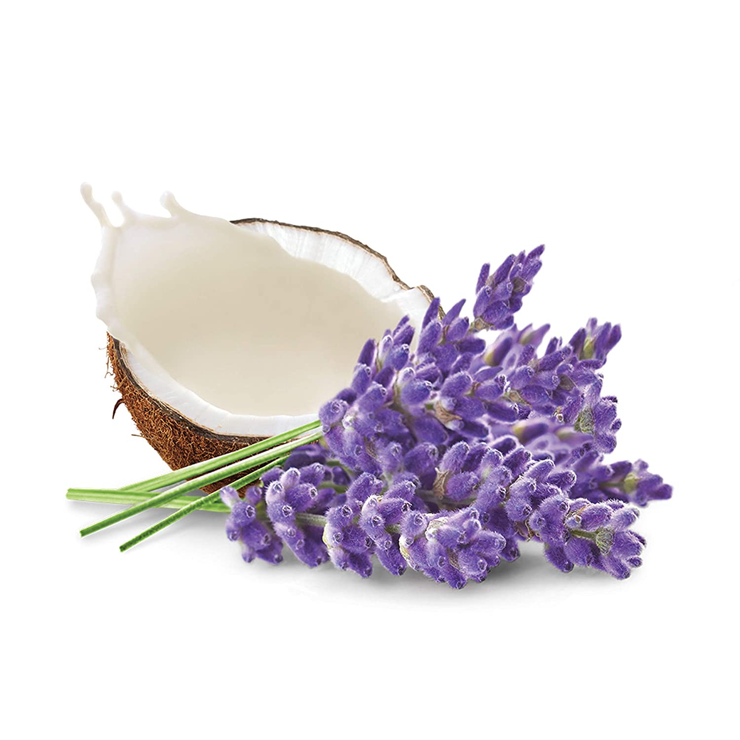 DOVE WHIPPED LAVENDER AND COCONUT MILK BODY CREAM - 283 G