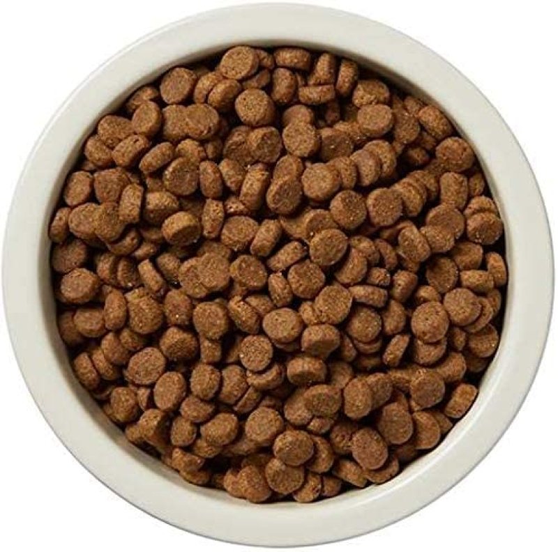 WAG WHOLESOME GRAINS DRY DOG FOOD - 30 LBS