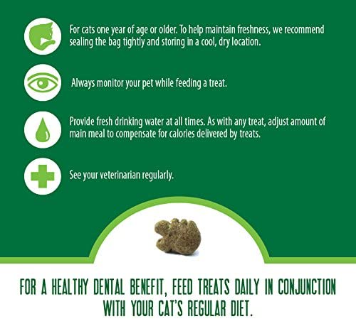 GREENIES FELINE NATURAL DENTAL CARE CAT TREATS - 5.5 OZ