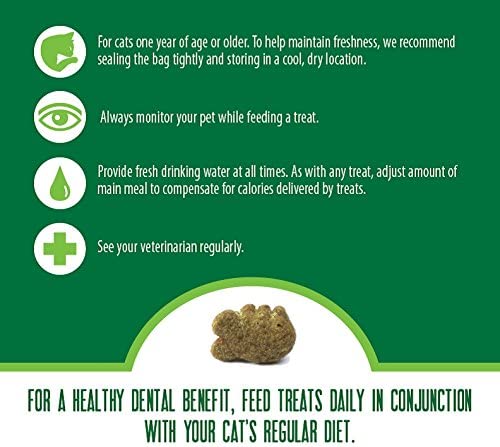 GREENIES FELINE DENTAL TREATS - 5.5 OZ