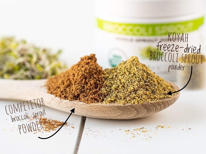 KOYAH - ORGANIC BROCCOLI SPROUT POWDER