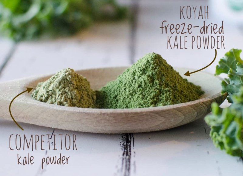 KOYAH - ORGANIC KALE POWDER