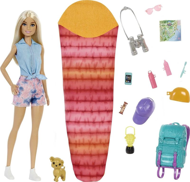BARBIE IT TAKES TWO DOLL & ACCESSORIES