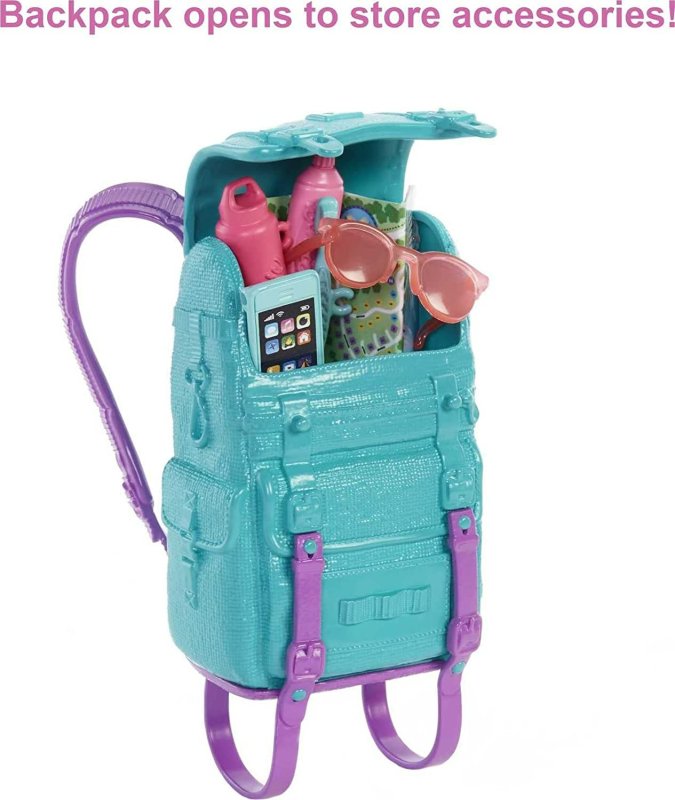 BARBIE IT TAKES TWO DOLL & ACCESSORIES