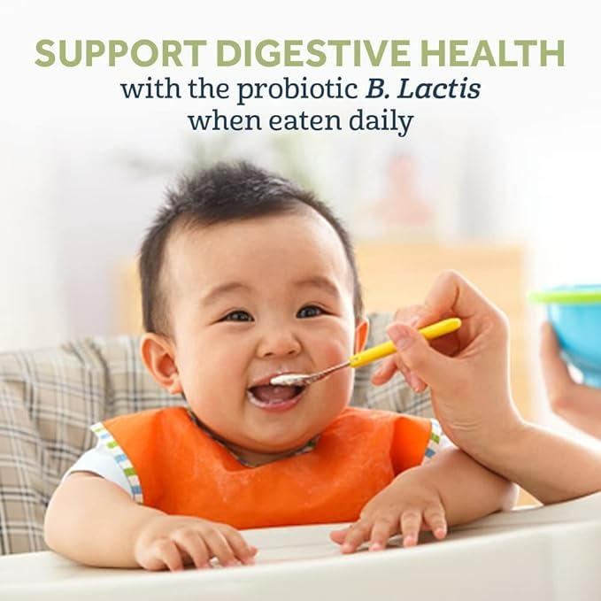 GERBER ORGANIC BABY FOOD PROBIOTIC OATMEAL CHICKPEA BANANA & CHIA CEREAL - 8 OZ - 6'LI PAKET