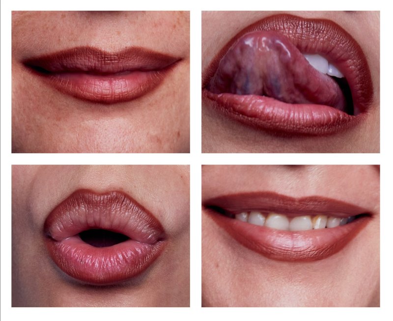 FARA HOMIDI SMUDGE & CONTOUR LIP PENCIL - RICHE