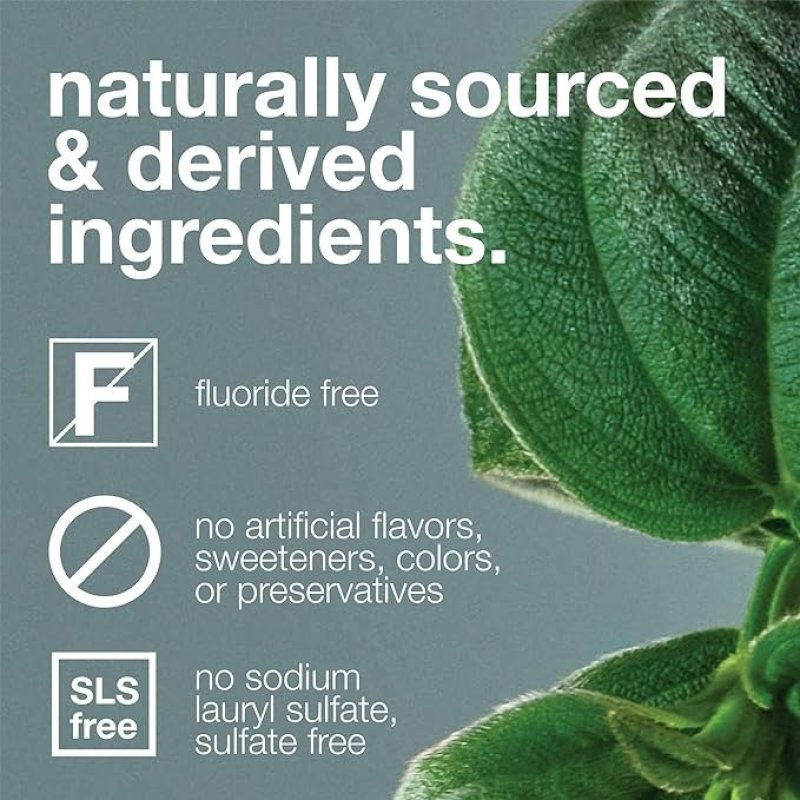 DAVIDS FLUORIDE FREE CHARCOAL TOOTHPASTE - NATURAL PEPPERMINT - 5.25 OZ