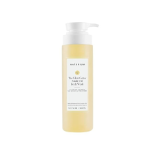 NATURIUM THE GLOW GETTER MULTI-OIL HYDRATING BODY WASH - 16.9 OZ