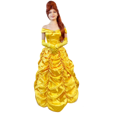 ABRACADABRA NYC BEAUTIFUL FAIRYTALE MAIDEN BELLE HIGH END ADULT COSTUME