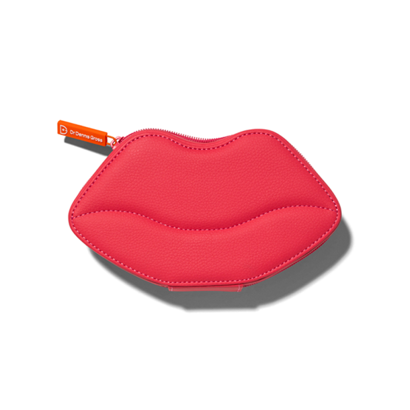 DR. DENNIS GROSS LIPWARE PRO LIP CASE