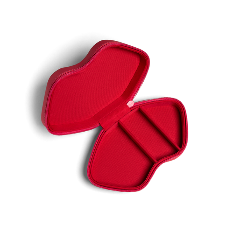 DR. DENNIS GROSS LIPWARE PRO LIP CASE