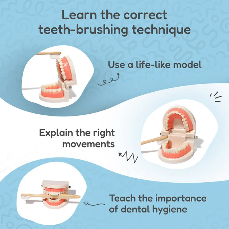MONTESSORI BRUSHING TEETH