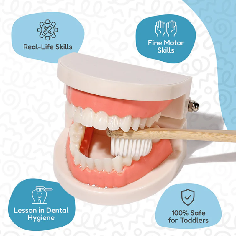 MONTESSORI BRUSHING TEETH