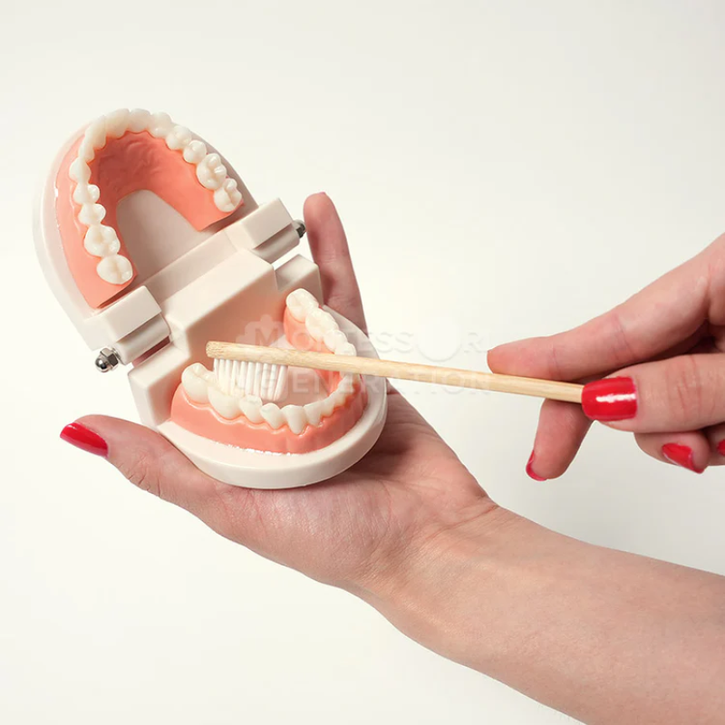 MONTESSORI BRUSHING TEETH
