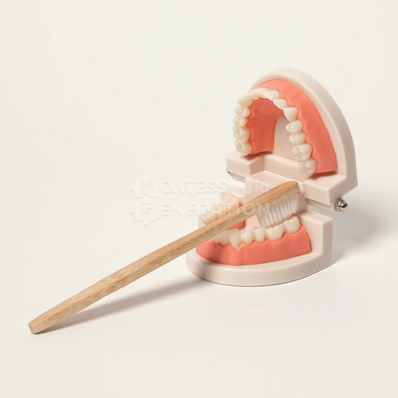 MONTESSORI BRUSHING TEETH
